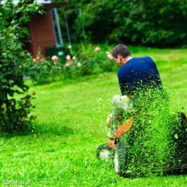 Koszenie traw traktorkiem -  kosą żyłkową -  przycinka drzew,  krzewów 506719894